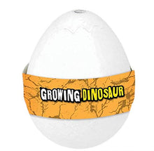 Dinosaur Egg